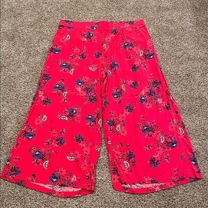 BNWT! Torrid Pull on wide leg high rise pant